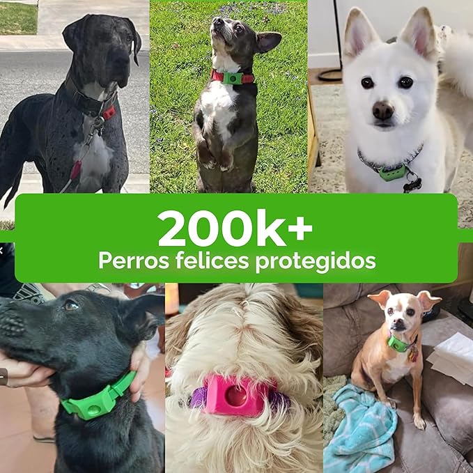 Komixe™ Collar Antipulgas y Garrapatas