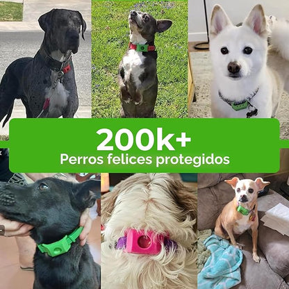 Komixe™ Collar Antipulgas y Garrapatas