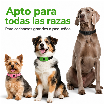 Komixe™ Collar Antipulgas y Garrapatas